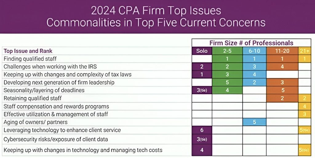 2024 CPA Firm Top Issues Commonalities In Top 5 Current Concerns