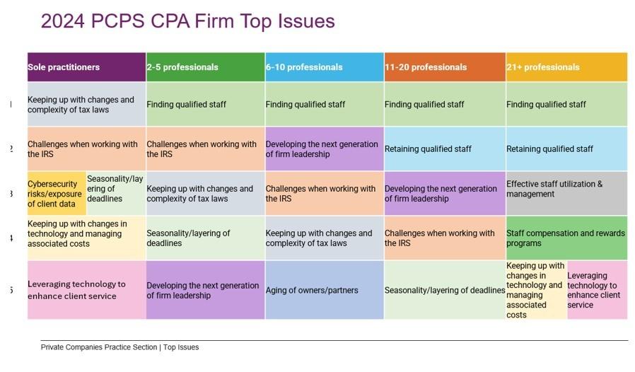 2024 PCPS CPA Firm Top Issues